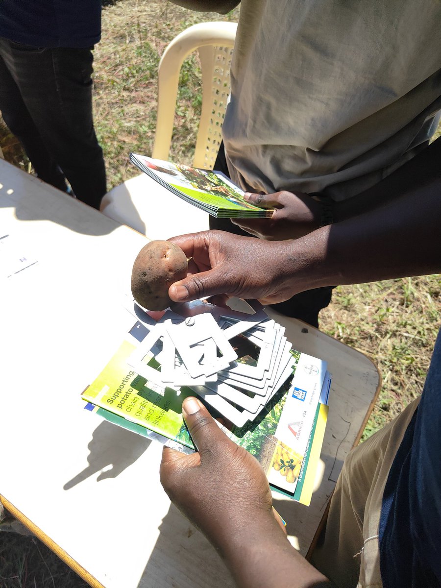 kinyua_wambu's tweet photo. #partnership #ClimateAction #agriculture 👨‍🌾👩‍🌾🚜🌾 #Farmers #KNOWLEDGE #SDGs https://t.co/qKxhmphjdt