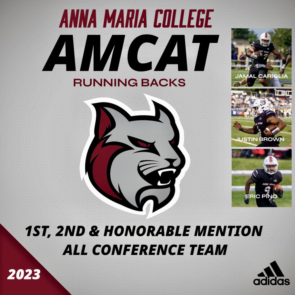 The <a href="/AMCAT_Football/">AMCAT Football</a> RB room was told “WE WILL BE ESSENTIAL” on Day 1. Those kids bought in and believed. We climbed every day and we’re not even close to our peak. We’re built different!! 😎
We could not have accomplished the accolades and/or broken the  records we did without