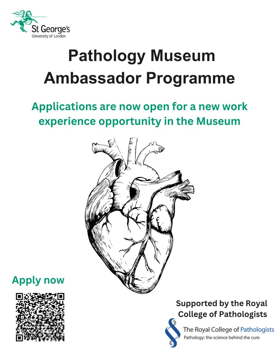 Calling all undergraduate students at St George's. We have a new and exciting work experience opportunity @StGeorgesUni to support our community engagement events in the Pathology Museum in 2024. Find out more: tinyurl.com/4v93ct5m With thanks to our funders @RCPath