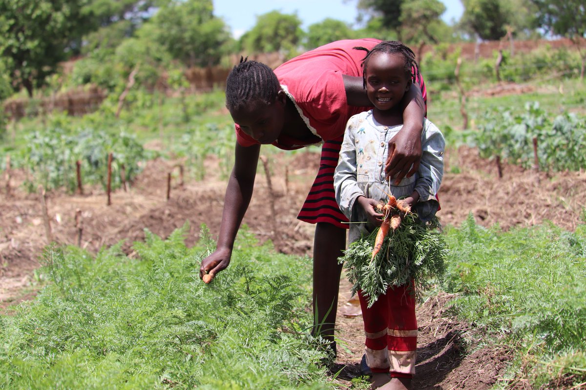 Promoting community nutrition and well-being in the Zambezi Valley beyond this generation @TFOHF @FACHIG @DanChurchAidZW @SwedeninZW @DanishMFA