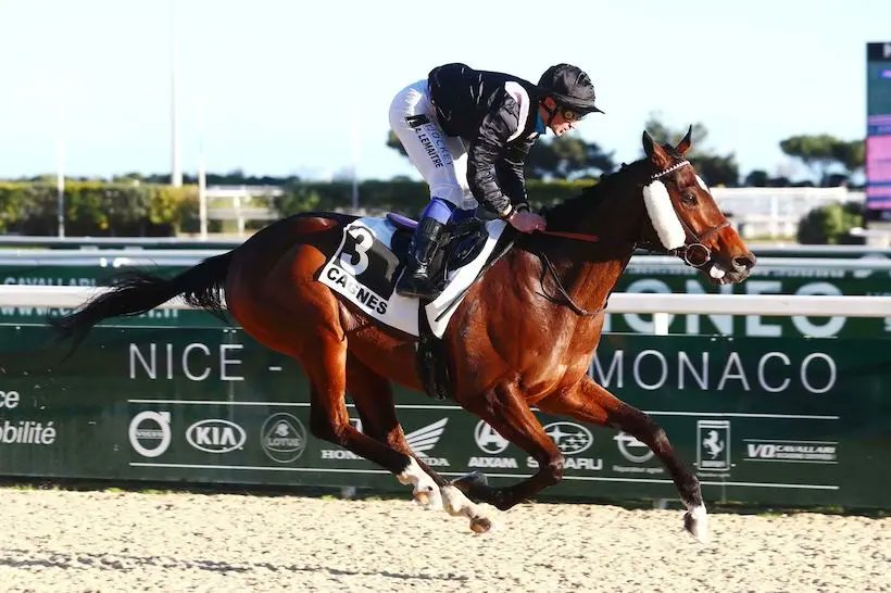 Samedi à Cagnes-sur-Mer @hippocotdazur se déroule la 1re finale du #Polytrack Challenge @MCE_Surfaces @MartinCollinsA1 #PSF séquence « Classique » sur les 2 000m du GP de la Riviera-Côte d'Azur Jacques Bouchara (L) avec 9🏇🏽 dont le tenant du titre Hooking @EcurieGriezmann !