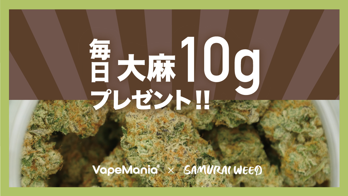 ／
10日連続10g放出キャンペーン！
タイ往復航空券も当たる✈️🇹🇭
＼

【7️⃣日目】

SAMURAI WEED 10g × 1名様

［今すぐ応募！］
　　∨
　　∨
🌿応募方法🌿
1️⃣このツイートをRT + いいね
2️⃣<a href="/samuraiweedth/">SAMURAI WEED</a> @VapeManiaThai をフォロー
3️⃣キャンペーン終了後に当選発表

明日は @VapemaniaThai