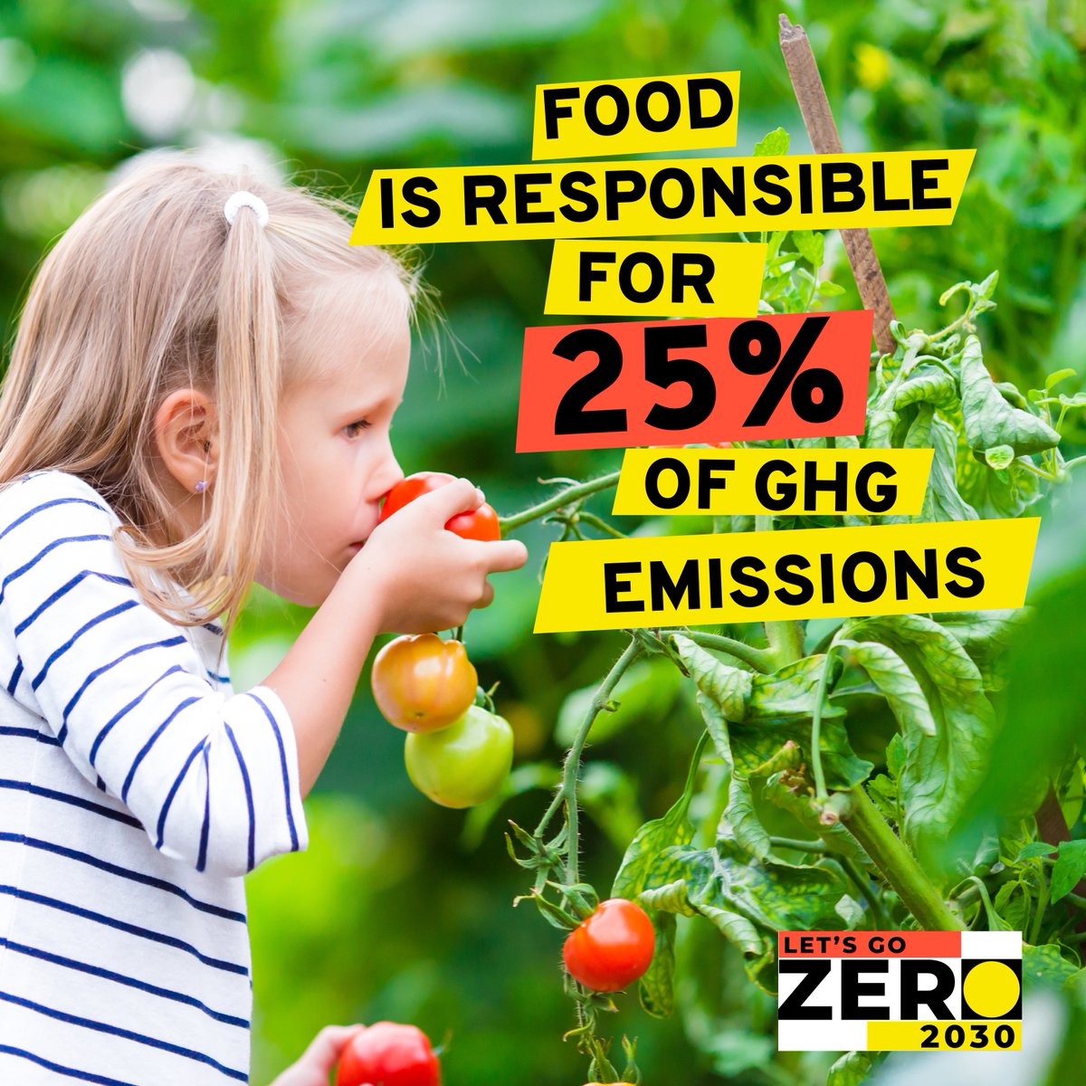 LetsGo_Zero's tweet photo. 🌱✨ Let's cut the waste, not the flavor! 🍏

Small actions make a BIG impact:

🥦 Cut down on meat, opt for plant-based
🌱 Choose local &amp; seasonal foods
♻️ Compost food scraps

Want to help your school take action on food? Take a look at these resources: https://t.co/3MsXy6xyoO https://t.co/6SNv9MK94D