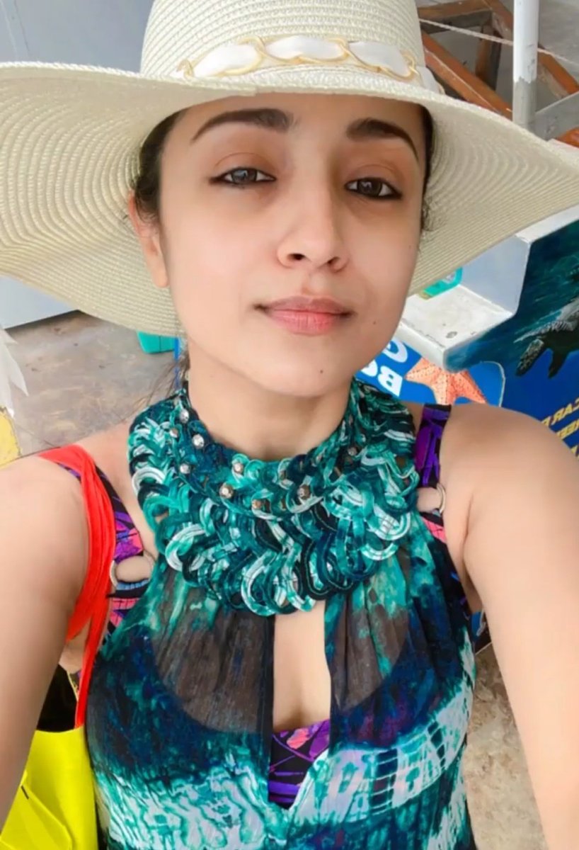 IndianCinema___'s tweet photo. Ever beautiful lady #TrishaKrishnan ♥️♥️♥️ https://t.co/1P3RM7zkWn