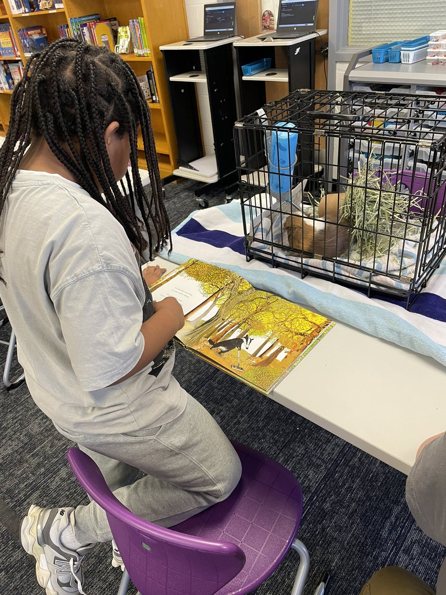 Julee Donnell tweet media