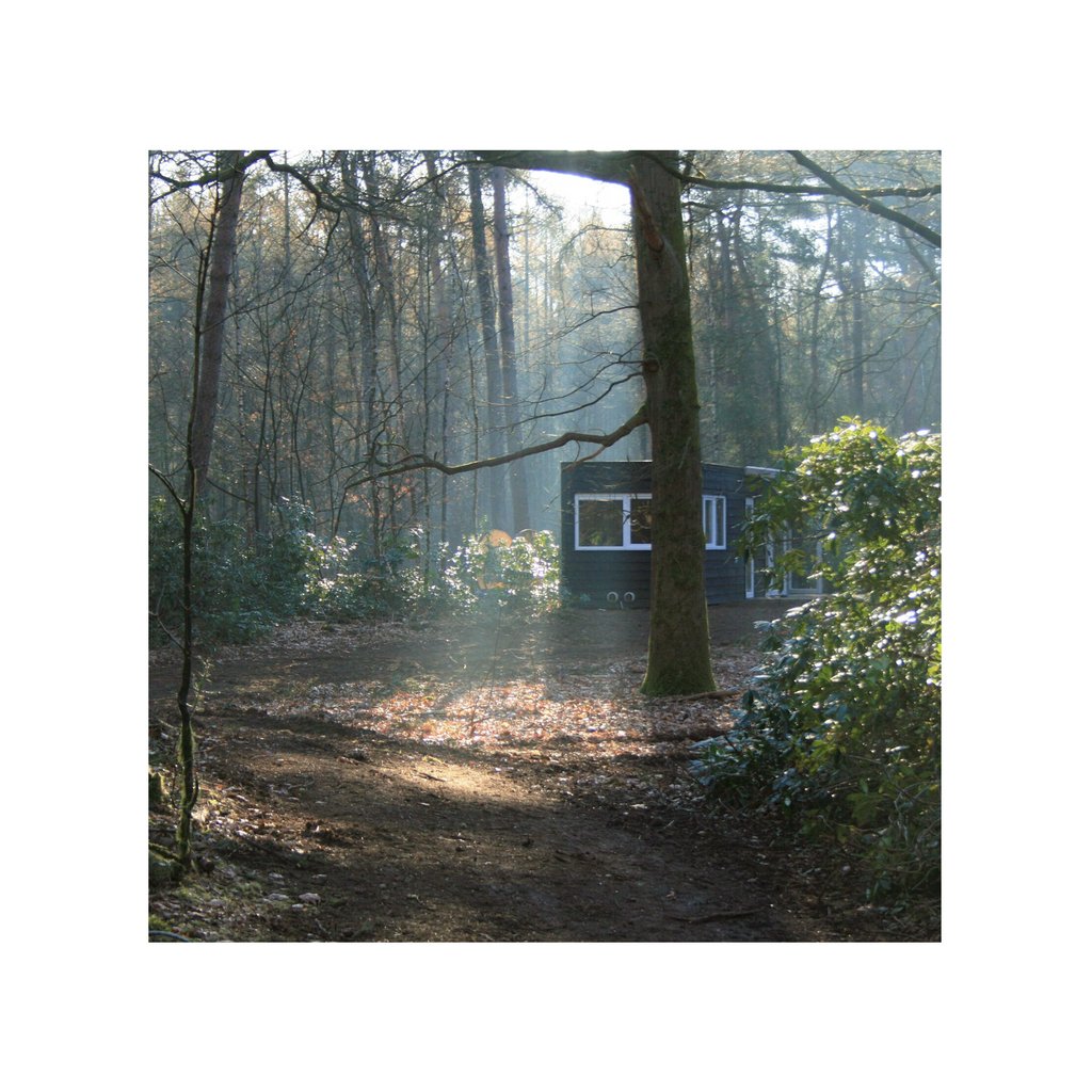 wikkelgoed's tweet photo. Het leven eindigen met een nieuw begin: opgaan in de natuur van een Natuurbegraafplaats.⁠ Elke maand delen we een van de natuurbegraafplaatsen in Nederland. Deze week: Natuurbegraafplaats Schapenmeer. https://t.co/0XSbKImQAk