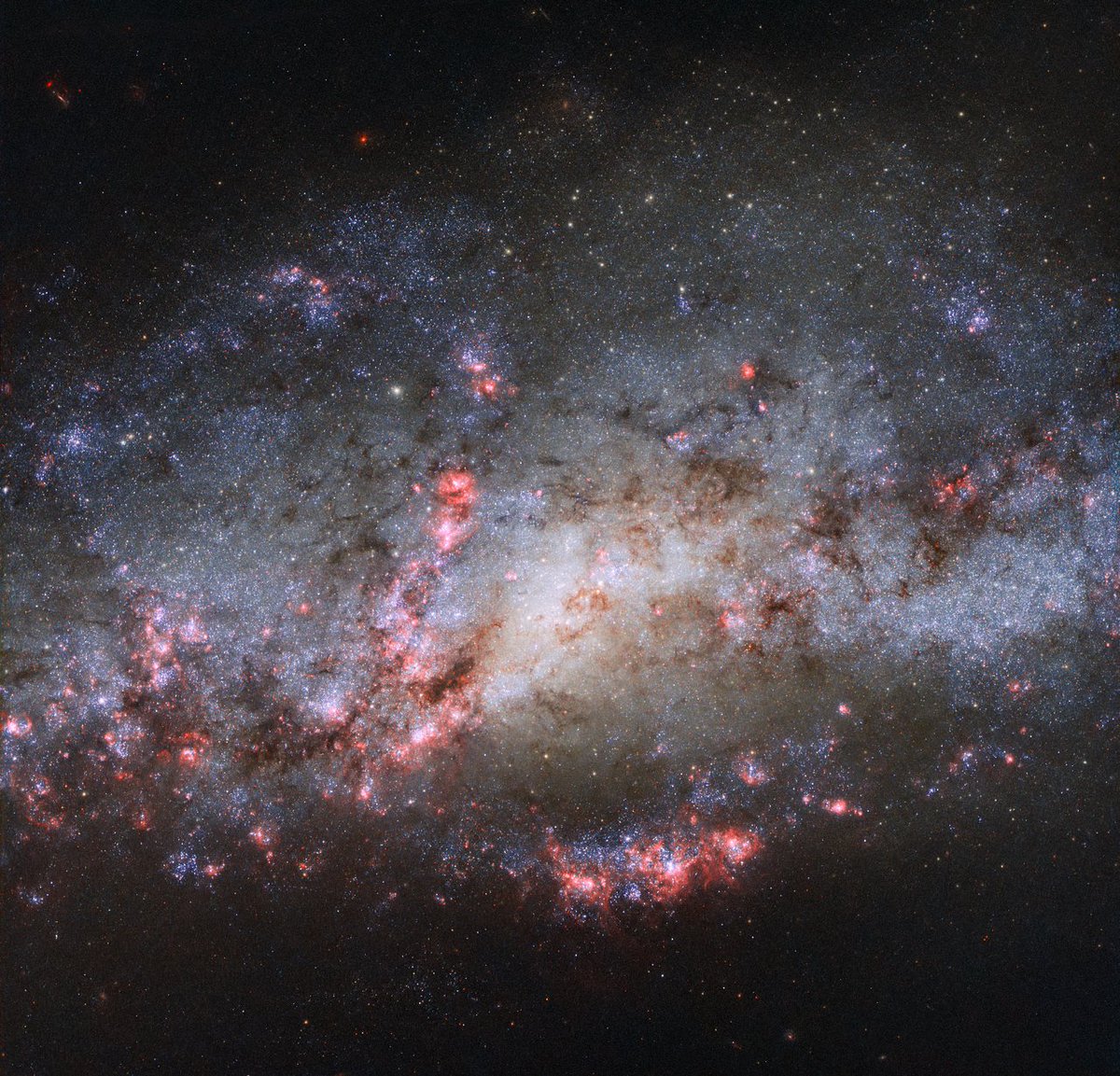 Our #HubbleTopImage features a galactic spectacle bursting with starbirth.

These pink fireworks are regions of intense star formation 🎆 triggered by a collision between this galaxy (NGC 4490) and a smaller neighbour.

Read more: esahubble.org/news/heic1716/