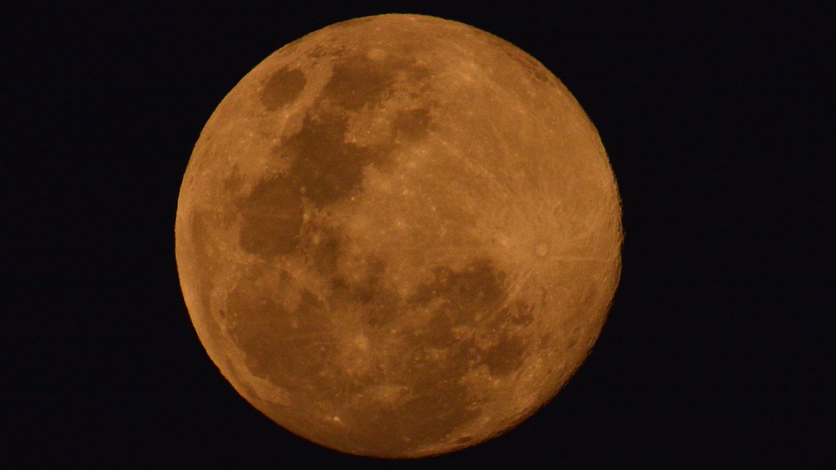 ecarrascal's tweet image. Primera luna llena del año, &quot;luna del lobo&quot;, 24 de enero 2024