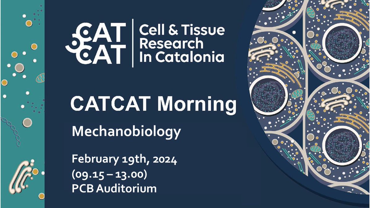 CATCAT - Cell and Tissue Research in Catalonia (@catcatbiology) on Twitter photo 📢 Exciting news! Join us for next CATCAT Morning on Mechanobiology! Discover cutting-edge insights from CATCAT members and invited speakers Kevin Chalut (<a href="/altos_labs/">Altos Labs</a>) and Ewa Paluch (<a href="/Cambridge_Uni/">Cambridge University</a>)!
Program ➡️ catcat-celltissuebiology.cat/event/8th-catc…
📅 Feb 19
⏰ 9 - 13:00 h
📍 PCB Auditorium 📢 Exciting news! Join us for next CATCAT Morning on Mechanobiology! Discover cutting-edge insights from CATCAT members and invited speakers Kevin Chalut (<a href="/altos_labs/">Altos Labs</a>) and Ewa Paluch (<a href="/Cambridge_Uni/">Cambridge University</a>)!
Program ➡️ catcat-celltissuebiology.cat/event/8th-catc…
📅 Feb 19
⏰ 9 - 13:00 h
📍 PCB Auditorium
