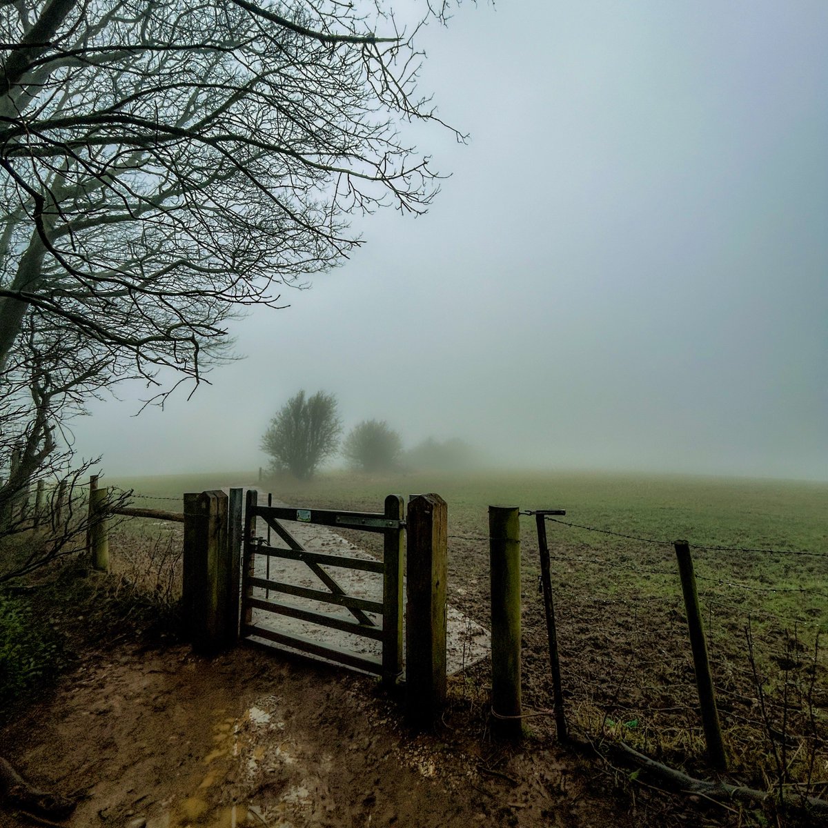 Foggy morning on the path between Stanmer Park and Ditchling Beacon today. We love breaking out of the woods onto the open downland. Still pockets of fog on the high ground of the #southdowns so take care out there everyone. #ditchlingbeacon #changingchalk