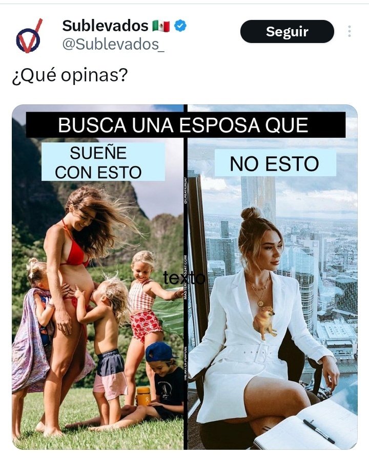 Opino que a los conservadores les dan miedo mujeres con mejor estatus económico o que sean más exitosas en la vida. A los conservadores no les interesa que ambos sean exitosos, solo les interesa que la mujer no los opaque.