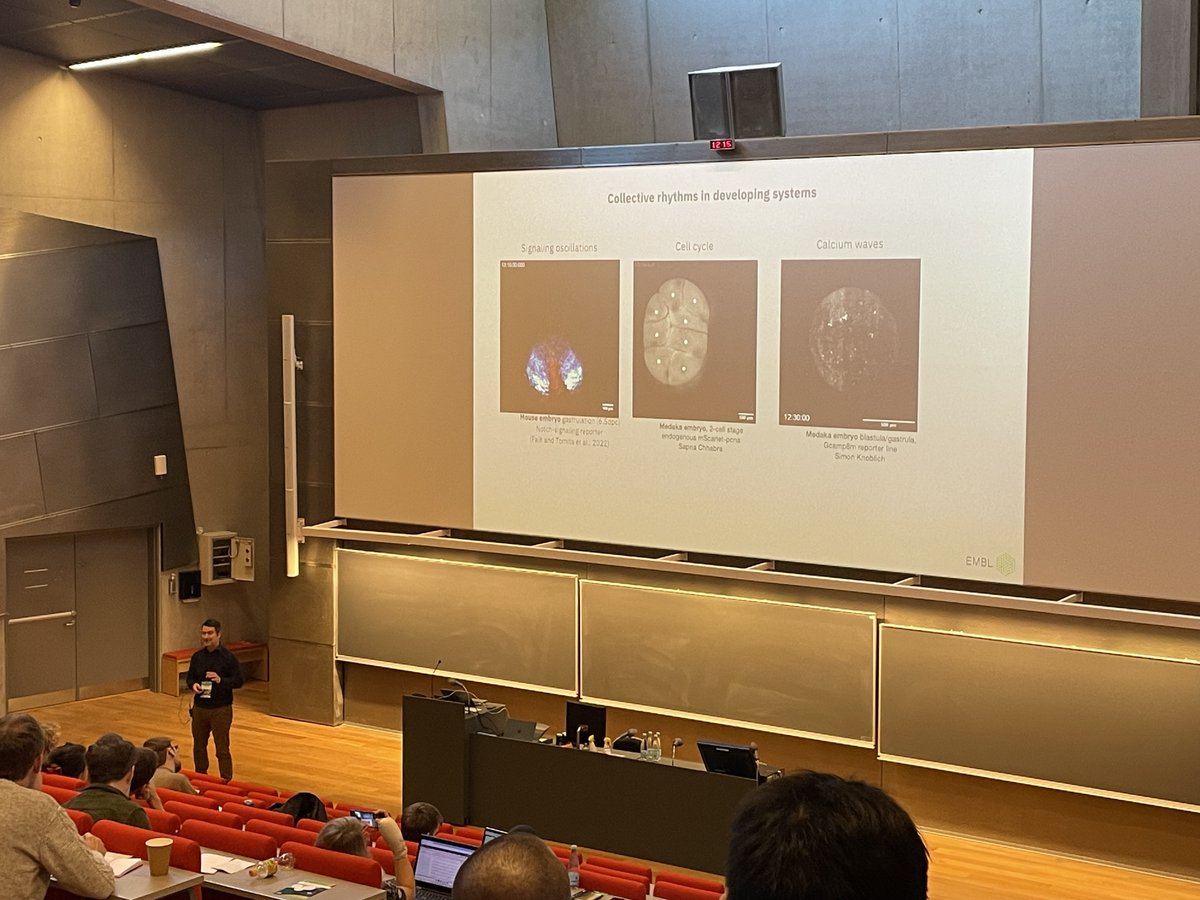 We are attending the @DANEMO_informs 2024 Symposium in Copenhagen! The 2-day event aims to raise awareness of @embl and @EMBO in Denmark, with the main focus on highlighting EMBL's ongoing Programme “Molecules to Ecosystems” via research lectures, poster session and networking.