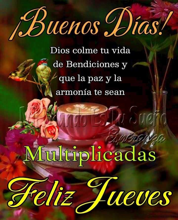 Guadalupe LM tweet media