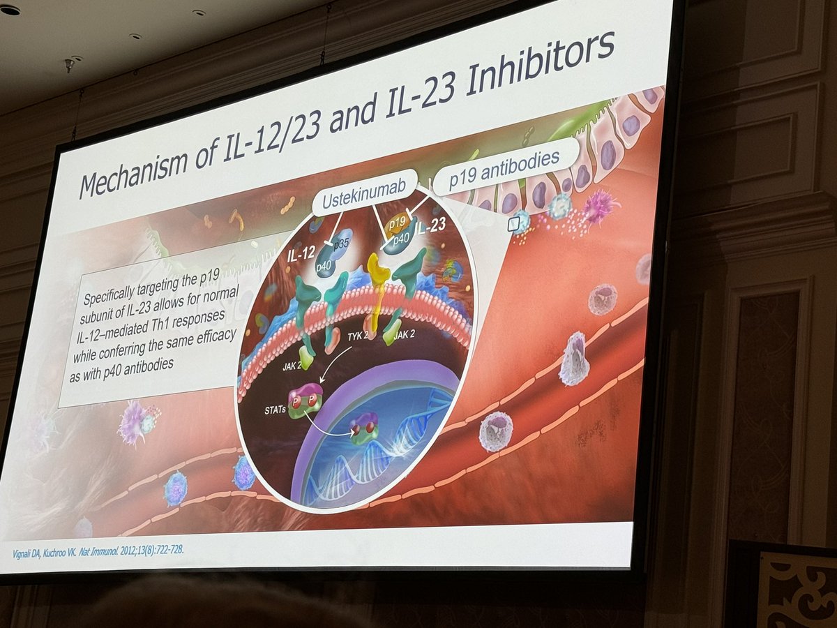 Kicking off #CCCongress24 IBD A-Z with @DrJessicaA discussing #interleukins & how/when to use…

#CCCongress24 #IBDResearch #IBDTreatments #IBDEducation