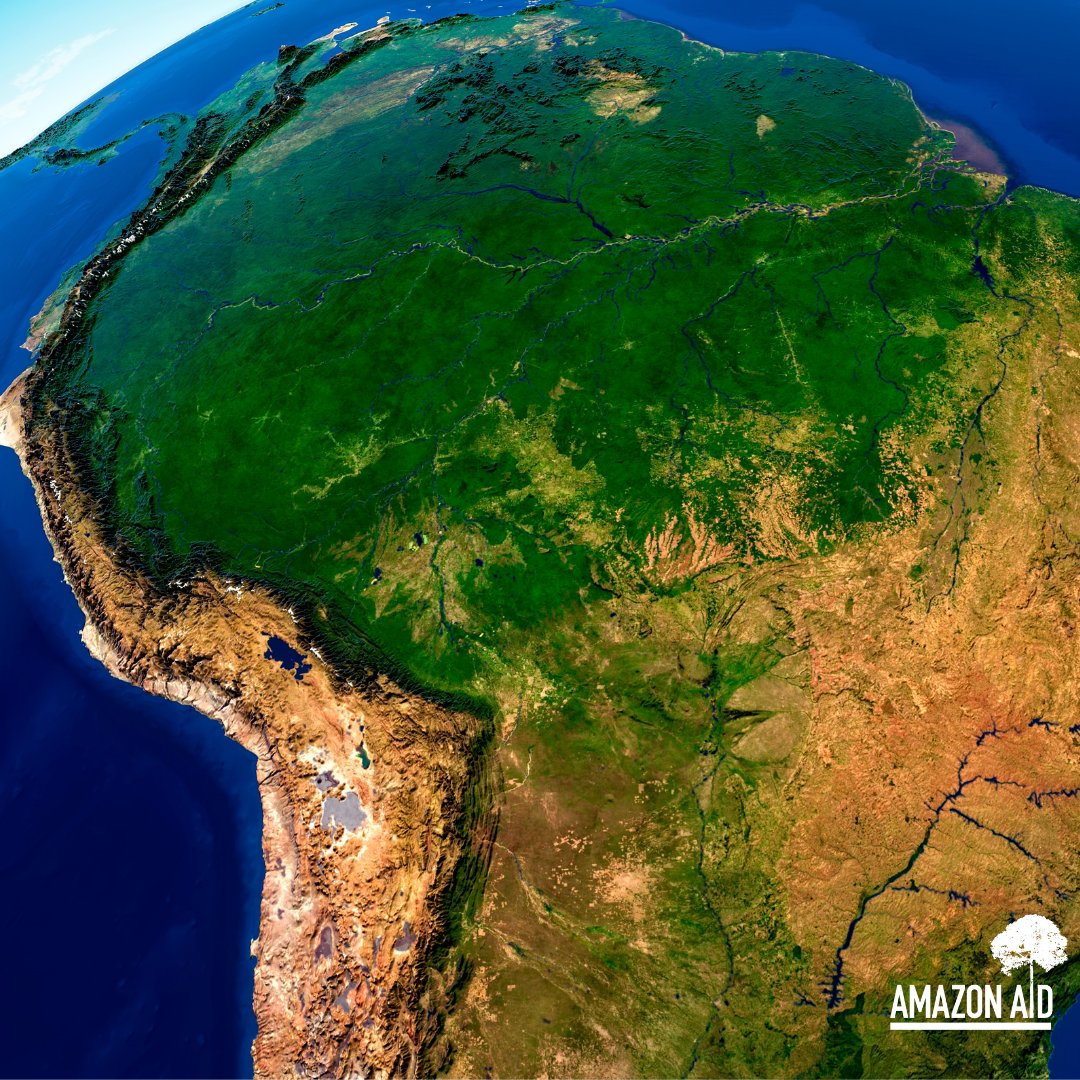 AmazonAidF's tweet image. Even within a country, stances around deforestation, extraction, &amp;amp; Indigenous sovereignty can vary from one administration to the next.

In Latin America, illegal gold mining frequently occurs around protected areas, in protected indigenous territories.

amazonaid.org