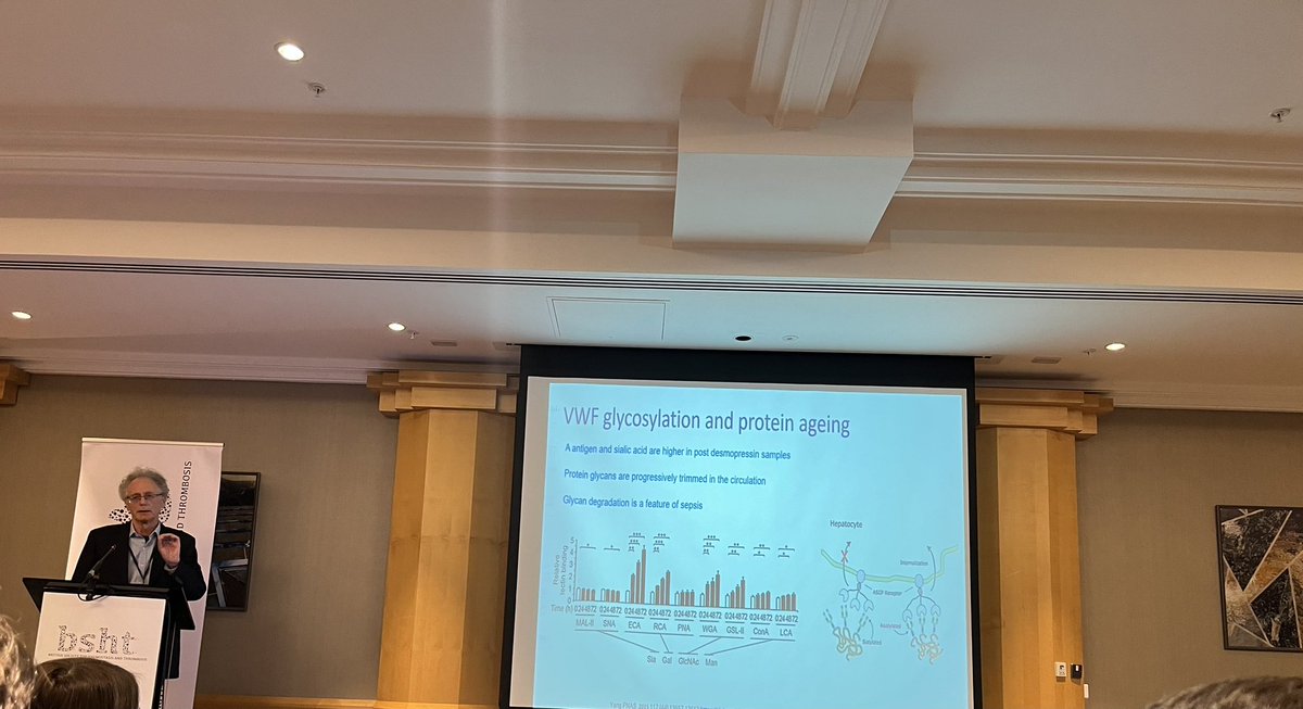 Gael Morrow (@gael_beverley) on Twitter photo Prof Mike Laffan giving the Sam Machin prize lecture at <a href="/BritSocHaemThro/">British Society for Haemostasis & Thrombosis</a> annual meeting in Belfast. An excellent and interesting lecture on the history of vWF. Congratulations Mike👏 #BSHT2024 #haemostasis #thrombosis Prof Mike Laffan giving the Sam Machin prize lecture at <a href="/BritSocHaemThro/">British Society for Haemostasis & Thrombosis</a> annual meeting in Belfast. An excellent and interesting lecture on the history of vWF. Congratulations Mike👏 #BSHT2024 #haemostasis #thrombosis