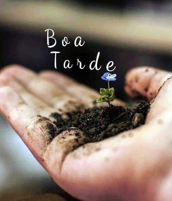 "Não olhe a vida tão depressa assim. Nos detalhes, são que os tesouros se apegam, que o milagre é visível. Perceba o mundo como se fosse uma criança - com inocência e esperança. Abençoe o caminho para colher bons frutos. Você é a própria semente e o campo ".

Boa Tarde
#BoaTarde