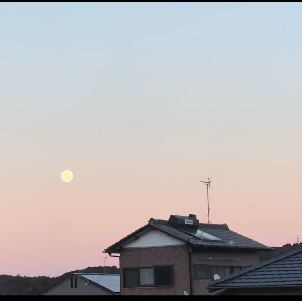 sharendayo's tweet photo. 母とタイミングが合って、おじいちゃんのお墓参りに。桜が咲いてたよ。おじいちゃんが見においでって呼んでくれたのかなあ。お墓にも桜を施してもらったの。　帰りにみた夕陽とまんまるの月も素晴らしかった。

覚えておきたくて、久しぶりにX使う。 https://t.co/xKZZ3awuzh