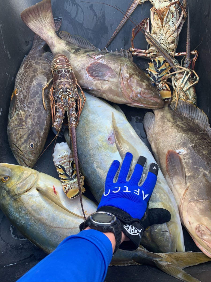 Biscayne Bay Slaying

#biscaynebay #florida #floridakeys #miami #pepeviña #floridaman #bahamas

Visit: buff.ly/3RL7OHd
Use PROMOCODE: DEEPBLUEGIANTS and Save 10%

#deepbluegiants #waihana #JBLspearguns #RelentlessKnivesUSA #SpearfishMiami #Spearfishing #Conservation