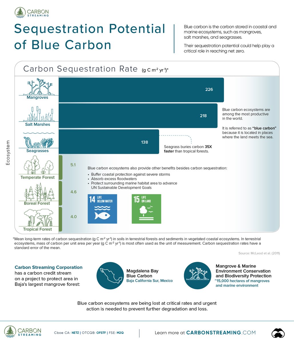 Blue carbon ecosystems are among the most productive in the world. Teaming up with @VisualCap, we’re spotlighting the impressive carbon sequestration rates of these ecosystems. Learn more about our Magdalena Bay Blue Carbon Project here: carbonstreaming.com/project/magdal…