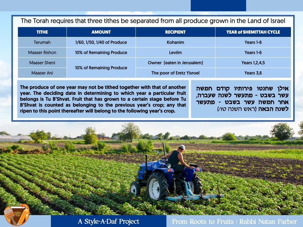 Natan Farber tweet media