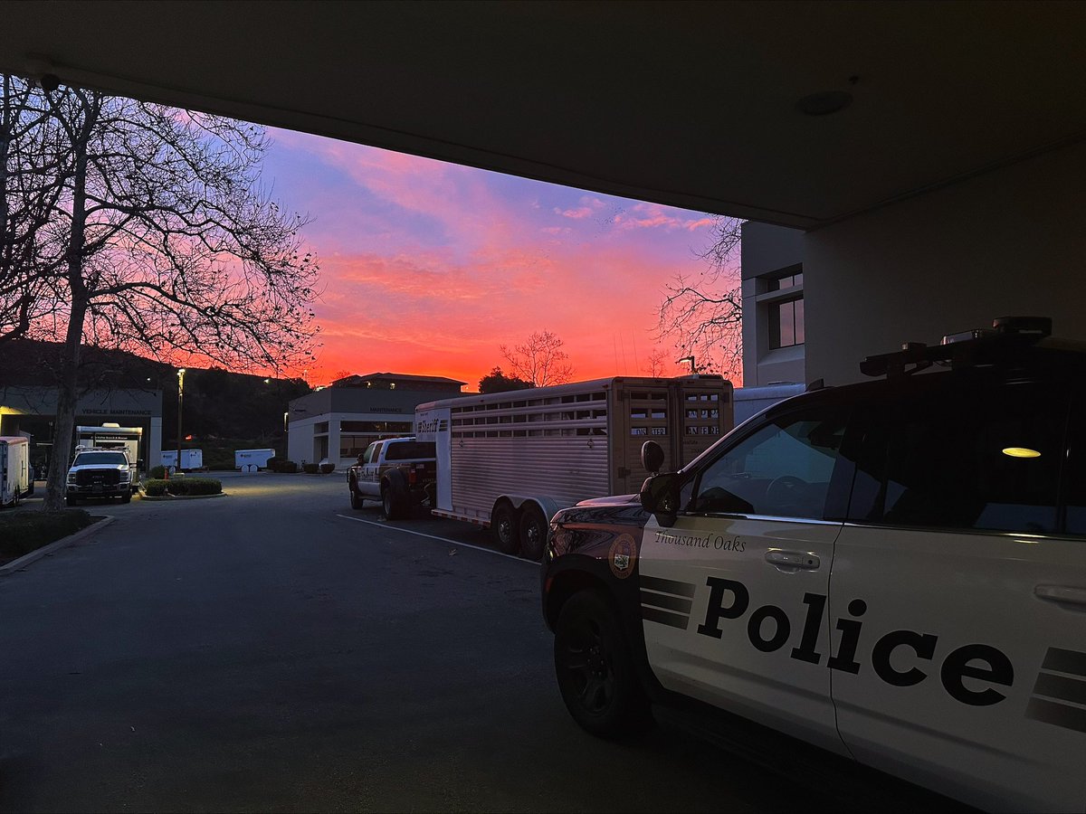 Deputy Smiley caught this sunrise as she wrapped up her night shift 🌅 

We wish you all a Happy Thursday! 🚔