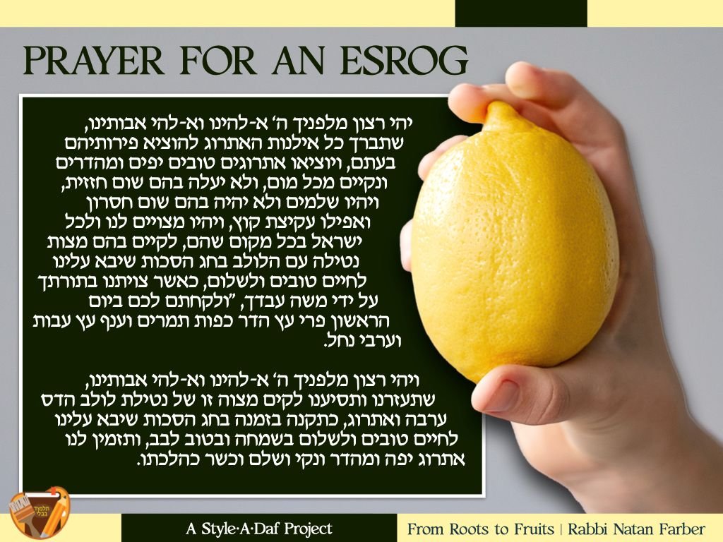 Natan Farber tweet media