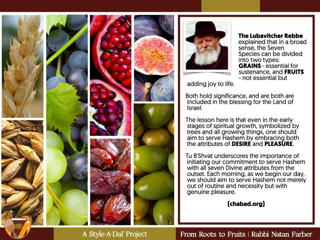 Natan Farber tweet media