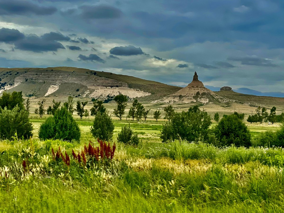 Amie Just tweet media