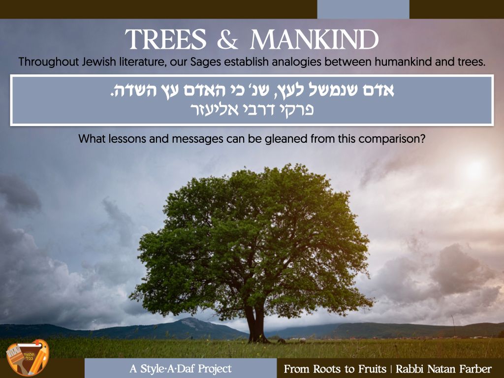 Natan Farber tweet media