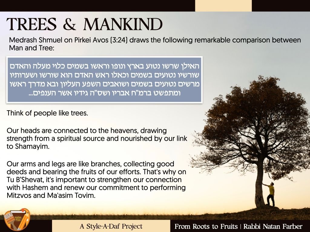 Natan Farber tweet media