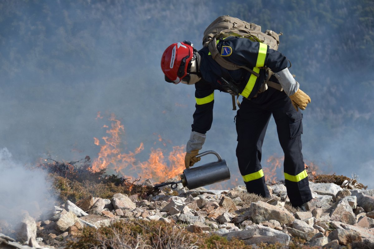 UIISC5CORTE's tweet image. Nos #sapeurssauveteurs 👨‍🚒👩‍🚒de la section Vulcain 11 ont participé à un brulage dirigé aux côtés des #FORSAP sur la commune de Cristinacce. Opération de prévention des risques d&apos;incendie 🔥mais également utile à la préparation opérationnelle de nos personnels.