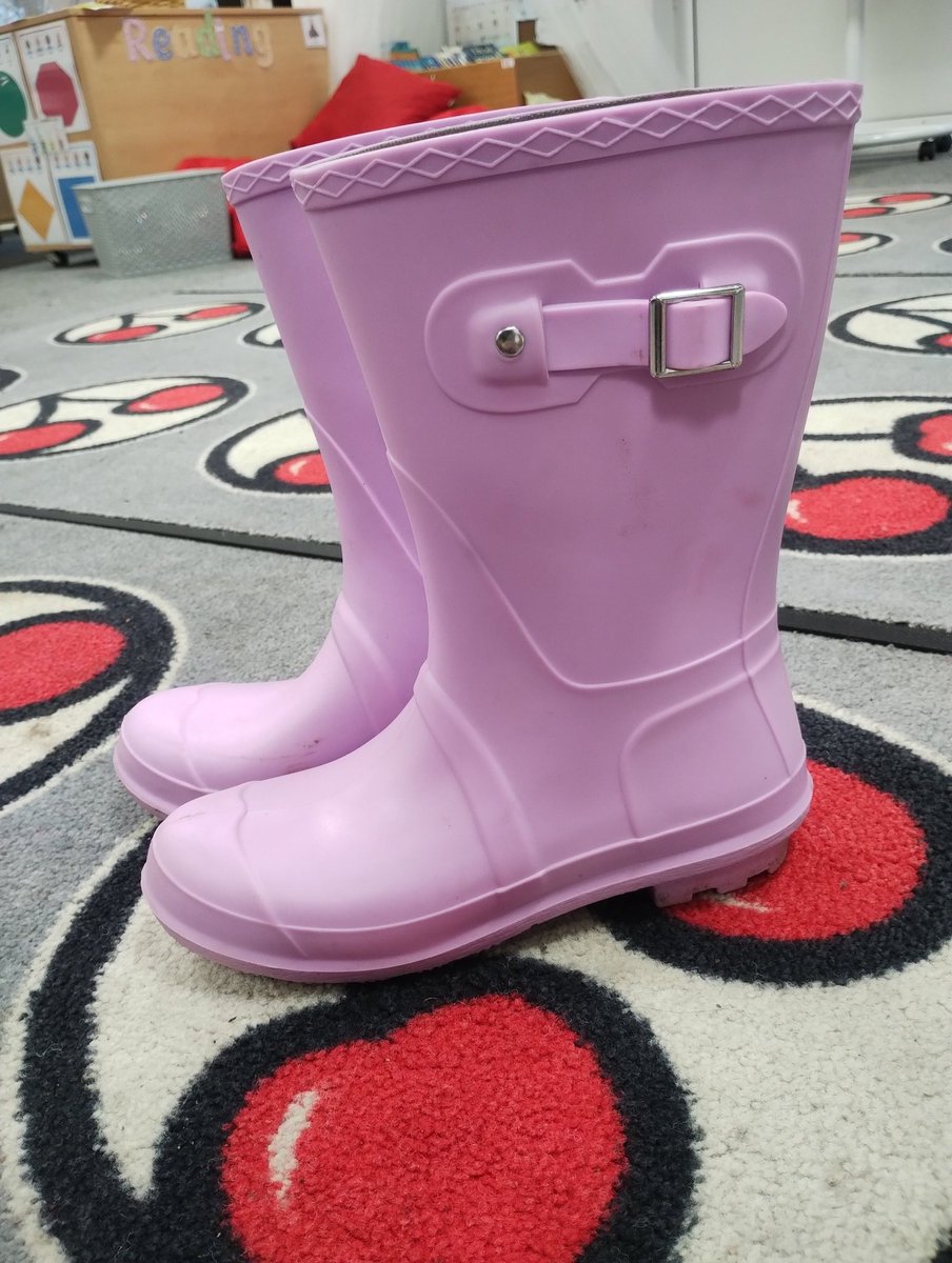 MrsGornallCTS's tweet photo. This afternoon year 1 went on a welly walk and took notice 👀 of lots of things including evergreen and deciduous trees! 🌳🪵 @CTS_Watford @MissWCTS #cherryweek 🍒 #5waystowellbeing https://t.co/wyaUzDDnPA