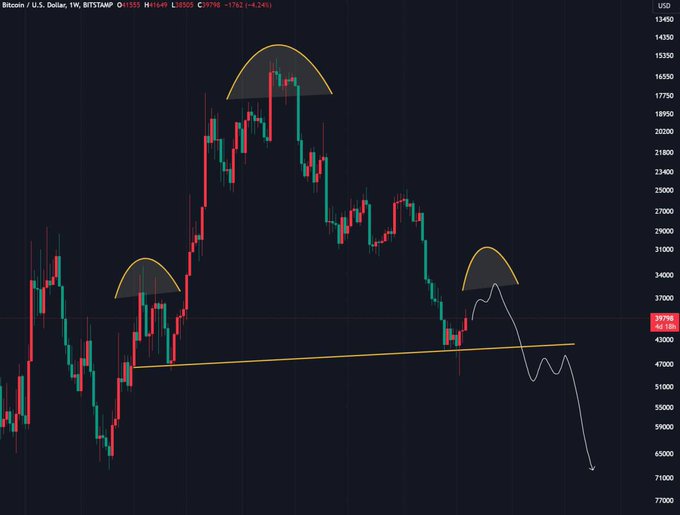 Salvador Pruneda tweet media