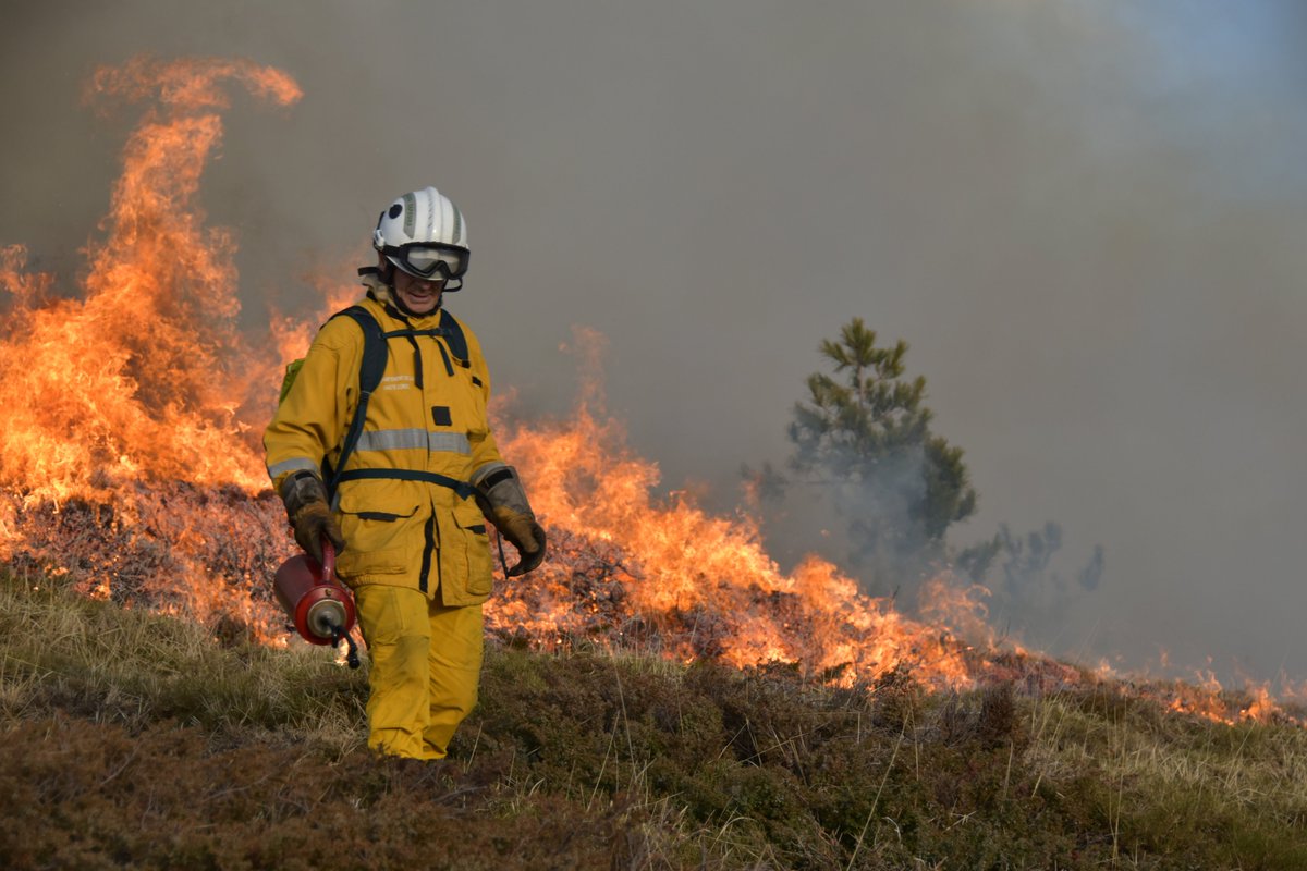 UIISC5CORTE's tweet image. Nos #sapeurssauveteurs 👨‍🚒👩‍🚒de la section Vulcain 11 ont participé à un brulage dirigé aux côtés des #FORSAP sur la commune de Cristinacce. Opération de prévention des risques d&apos;incendie 🔥mais également utile à la préparation opérationnelle de nos personnels.