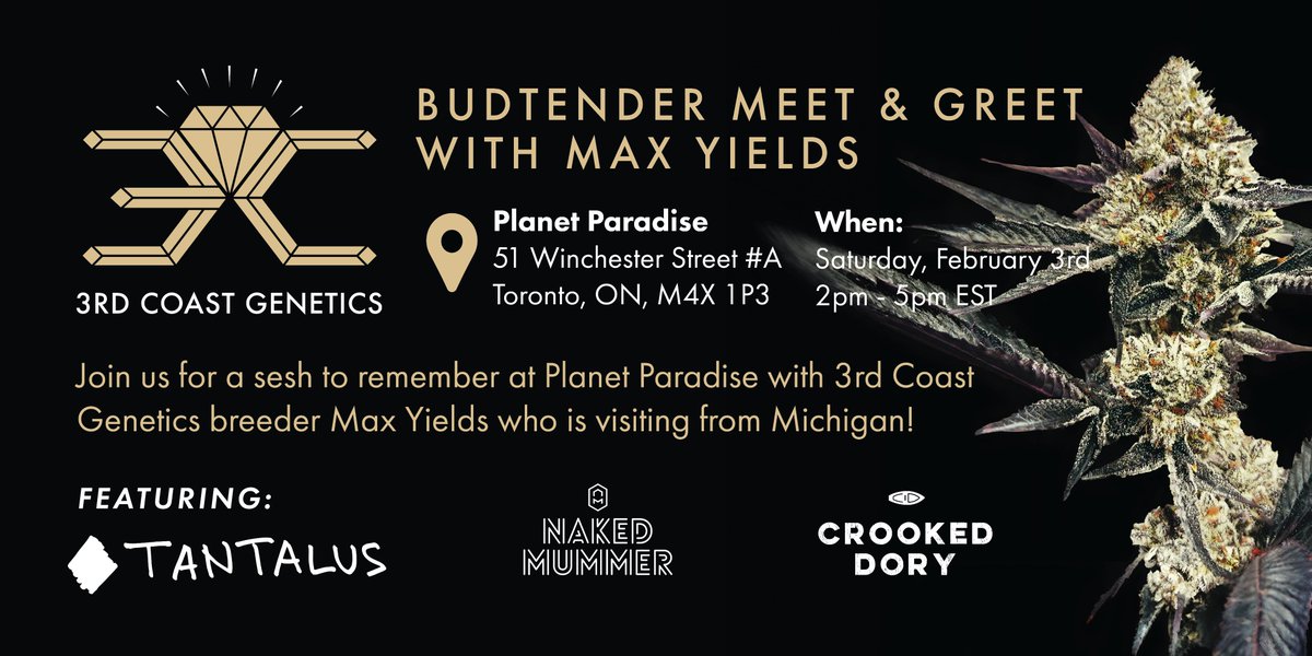 🪬Lisa Campbell🪬 tweet media