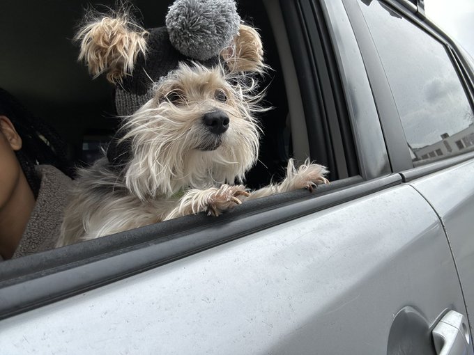 Me and my baby. Aka my besties yesterday lol.   She is so mad at me. https://t.co/BAS3yDowdK