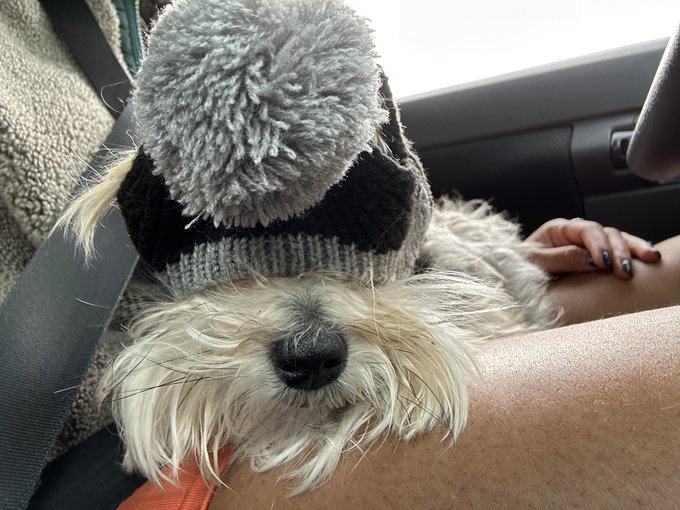 Me and my baby. Aka my besties yesterday lol.   She is so mad at me. https://t.co/BAS3yDowdK