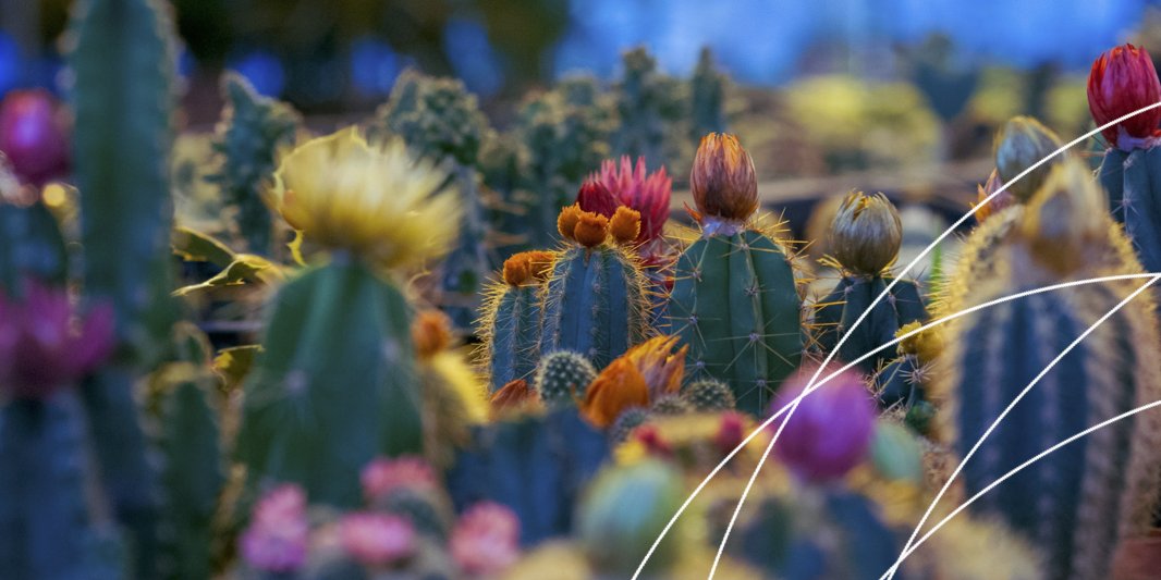 Learn how to flourish whilst navigating the thorny issues - join our upcoming Growing through Change and Conflict course!
Check out the details for this and all our courses at: bit.ly/PfHtraining24