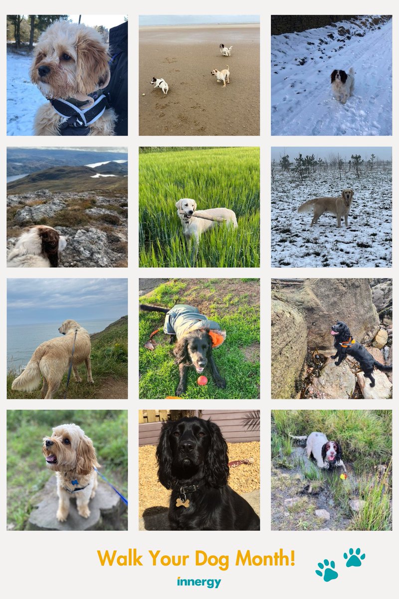 To celebrate the end of January, we thought we'd share our #walkyourdogmonth contributions!

We all hope you have had just as enjoyable of a #January as our dogs have!

Spread the puppy love and comment pictures of your much loved dogs or pop down to get your paws on #gas!