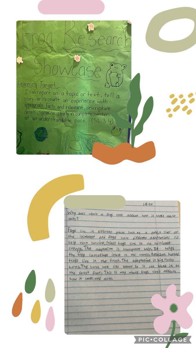 DillardMagnetES's tweet photo. Today, 3rd grade showcased their frog research projects! Students delved into different frog species and shared how the environment impacts them. It was a fun journey “hopping around the world” and exchanging knowledge with different grade levels. @rsykez @WesternWCPSS https://t.co/iXFZbkhwLI