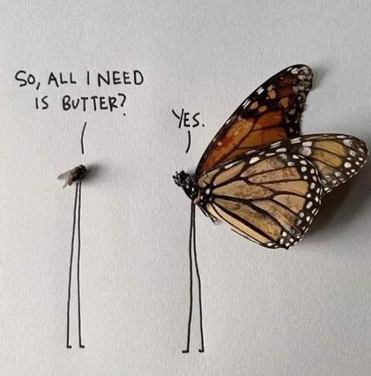 Irena Buzarewicz tweet media