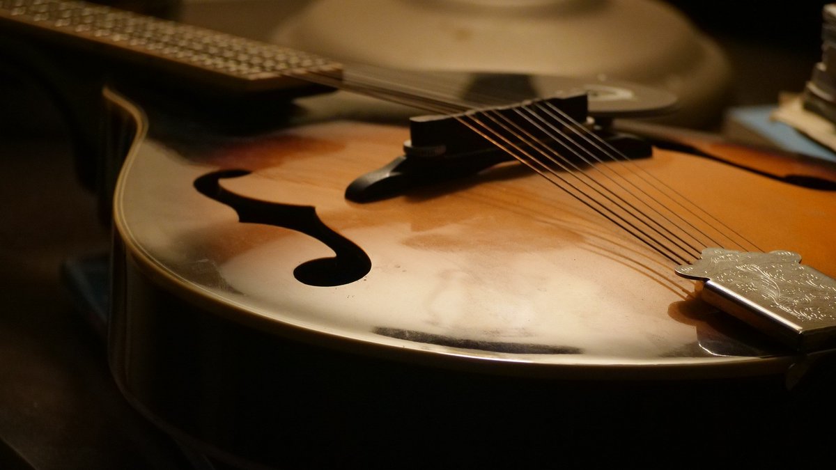 Der Deutsche Musikrat setzt sich mit einem offenen Brief an Wirtschaftsminister Robert Habeck auf t1p.de/683nh und einer Petition für den Erhalt des Deutschen Musikinstrumentenpreises ein. Jetzt unterschreiben auf t1p.de/4n1u3!

@BMWK
<a href="/BundesKultur/">BKM Kultur & Medien</a>