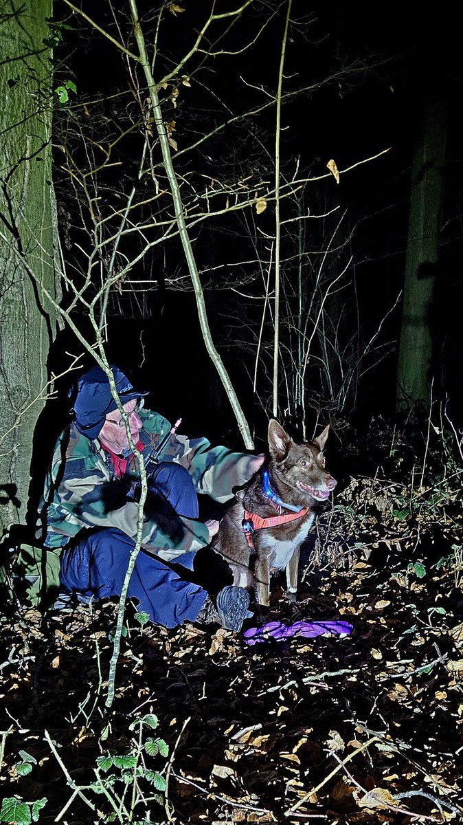 Search Dogs Zak & Rusty tweet media