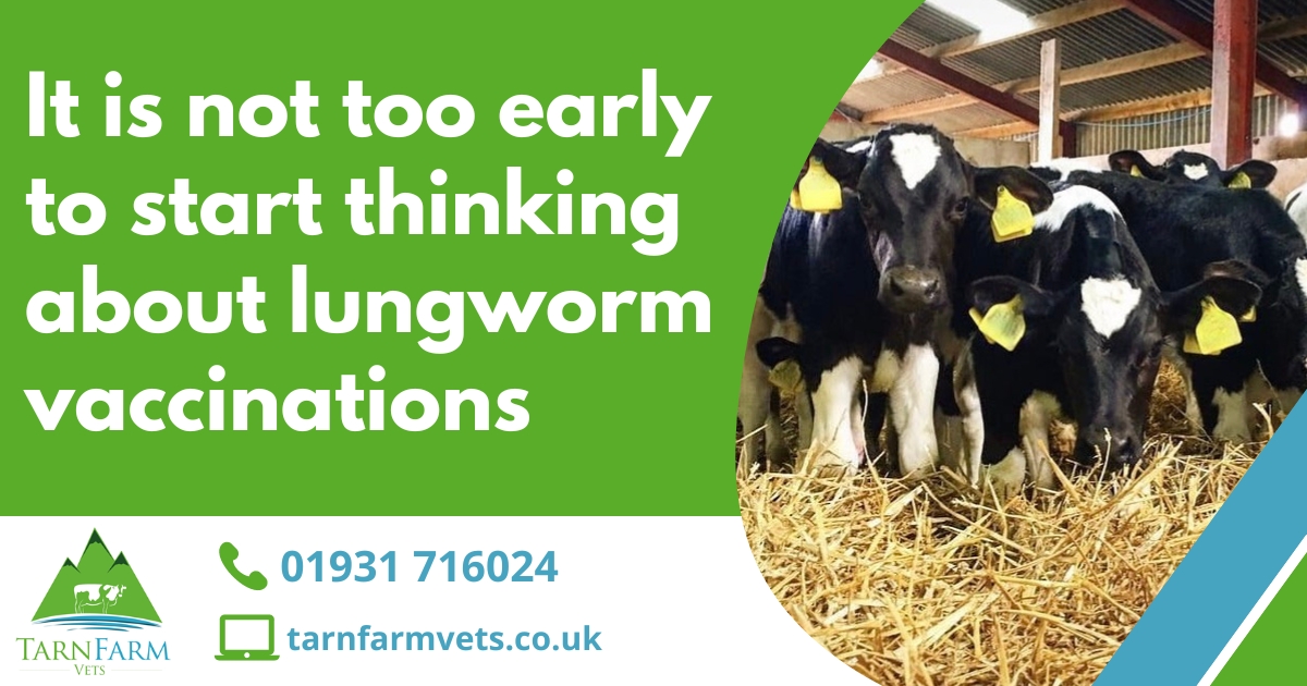 tarnfarmvets tweet media