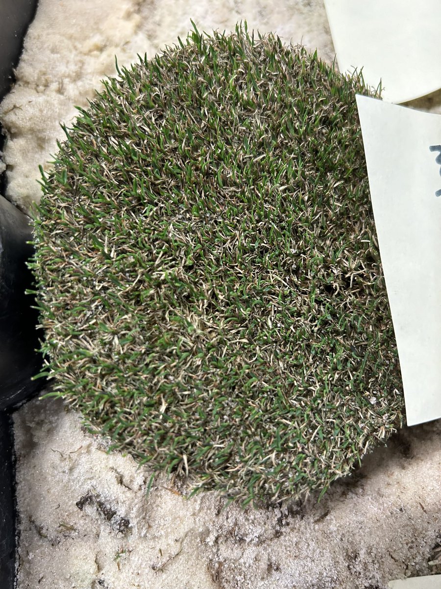 logan_rushh's tweet image. Uncovered for  11, 12, and 15 degree nights.