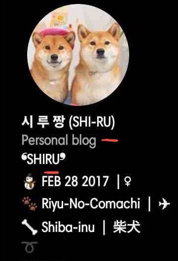 ShiruOnSolana's tweet photo. Do you know name of the dog in this photo? From Popular 450m project @dogwifcoin $WIF
His name is $SHIRU not $ACHI
There is 4 based devs with community running token on SOL
410 tg members
Sitting at 60K Mc

2.5M ATH with 8M volumen first day, big things coming, here proof https://t.co/AHWilEB7EE