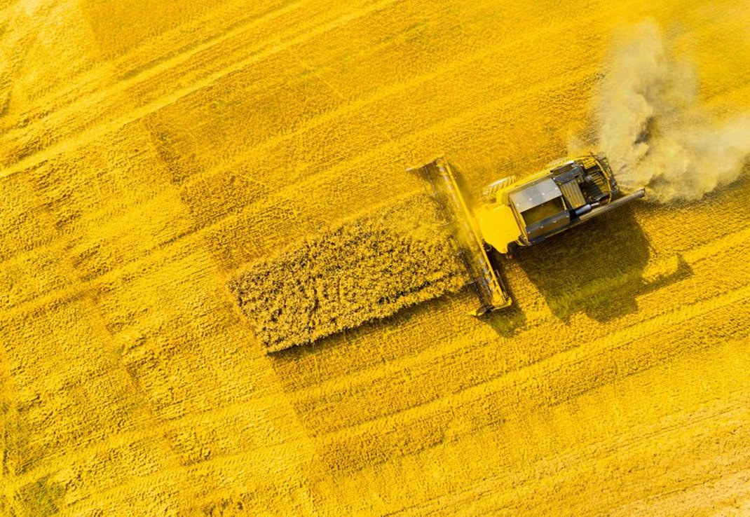 On dit qu’ils vont révolutionner l’agriculture.

Au point que 1000 scientifiques, dont 34 Nobels, supplient le parlement 🇪🇺 de les autoriser.

Mais c’est quoi, ces fameux NGT ? Et quels sont leurs super-pouvoirs ?

Petit #thread explicatif, écrit avec <a href="/agritof80/">ChristopheB.</a> ⬇️⬇️⬇️