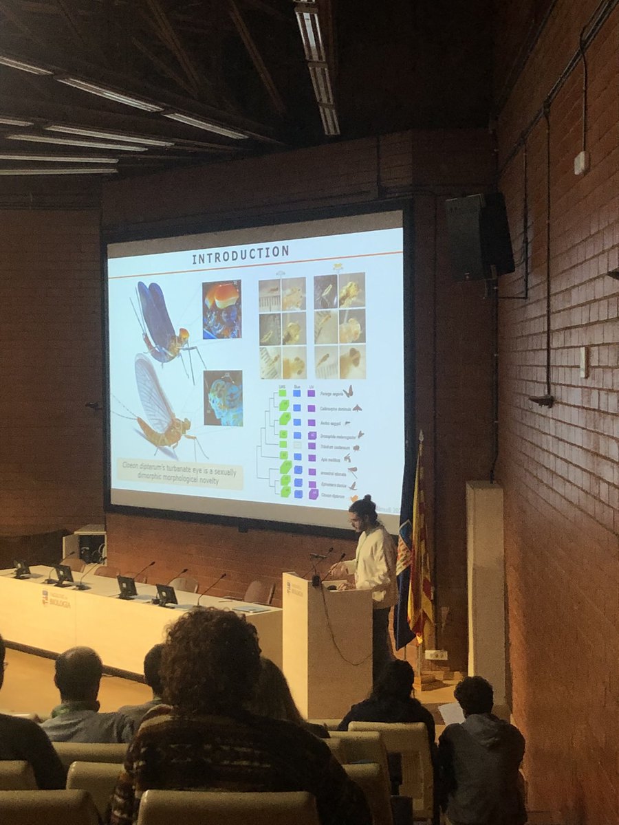 Isabel Almudi also @isabelalmudi.bsky.social (@isabelalmudi) on Twitter photo Great symposium organised by <a href="/IRBioUB/">IRBioUB</a> at <a href="/BiologiaUB/">Facultat de Biologia UB</a> in which Antoni Ruiz and <a href="/TotSenar/">Tòt Senar</a> presented their work on #evodevo and #mayflies 🤩
<a href="/GeneticsUB/">GeneticsUB</a> <a href="/sesbe_org/">SESBE</a> Great symposium organised by <a href="/IRBioUB/">IRBioUB</a> at <a href="/BiologiaUB/">Facultat de Biologia UB</a> in which Antoni Ruiz and <a href="/TotSenar/">Tòt Senar</a> presented their work on #evodevo and #mayflies 🤩
<a href="/GeneticsUB/">GeneticsUB</a> <a href="/sesbe_org/">SESBE</a>