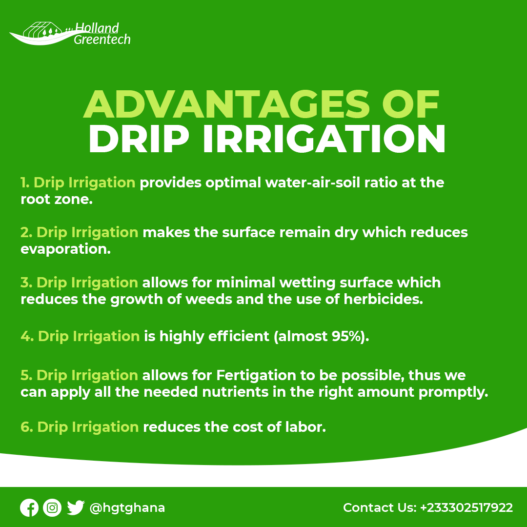 Wondering why Drip Irrigation is the talk of the town? Check out our latest post highlighting the 6 key reasons. Click the link to make your purchase and transform the way you cultivate. forms.gle/UyKa76KDyjkTUN… #DripIrrigation #SmartFarming #SustainableAg